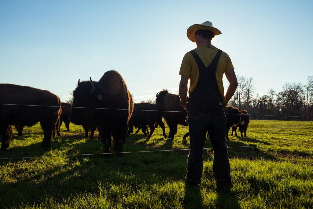 Understanding Grass-Fed Meats